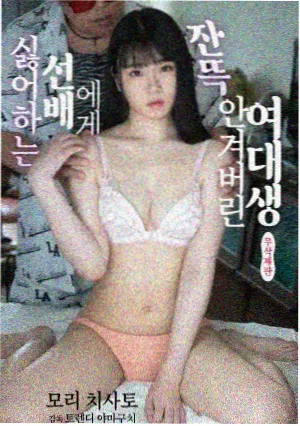 回声档案剧集封面图